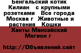 Бенгальский котик Килиан , с крупными розетками - Все города, Москва г. Животные и растения » Кошки   . Ханты-Мансийский,Мегион г.